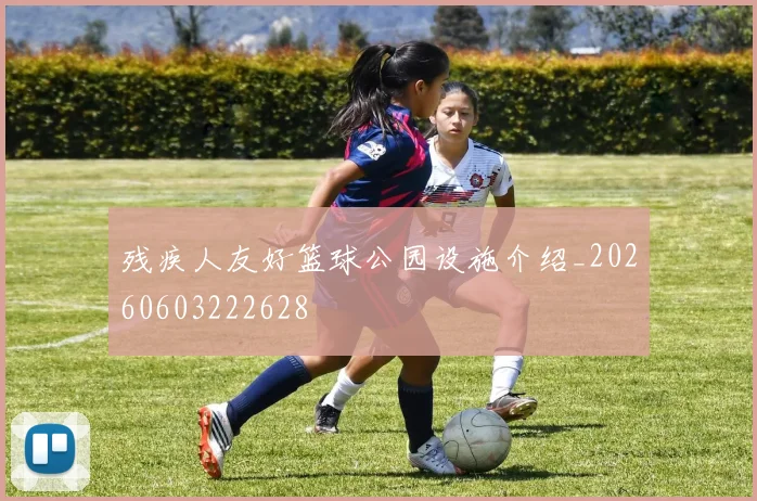残疾人友好篮球公园设施介绍_20260603222628