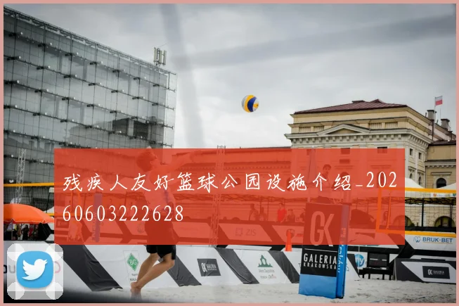 残疾人友好篮球公园设施介绍_20260603222628